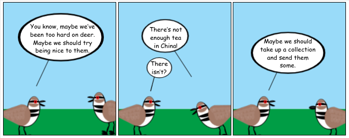 Killdeer of The August Moon