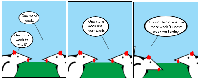 Week Link