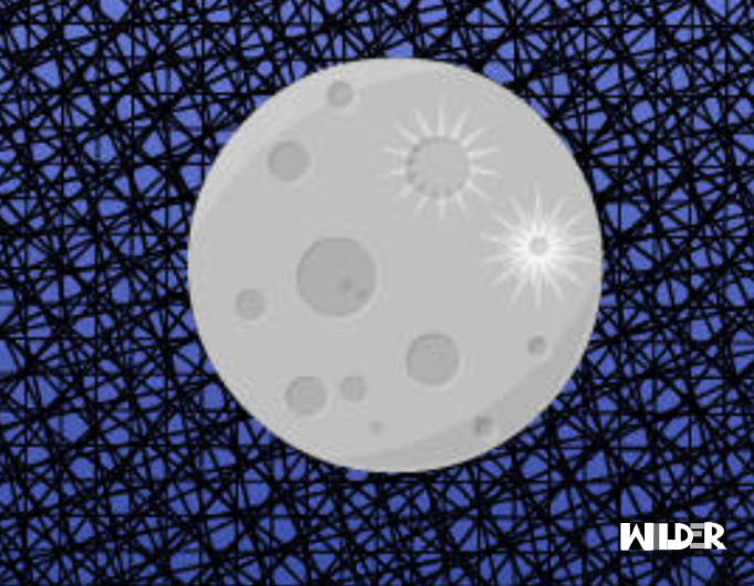 Happy Lunar New Year's Eve!