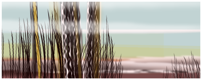 Elements of landscape