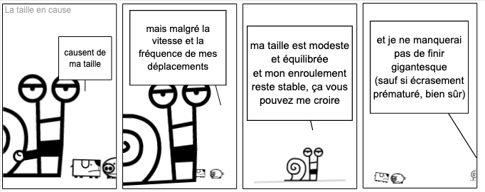 La taille en cause