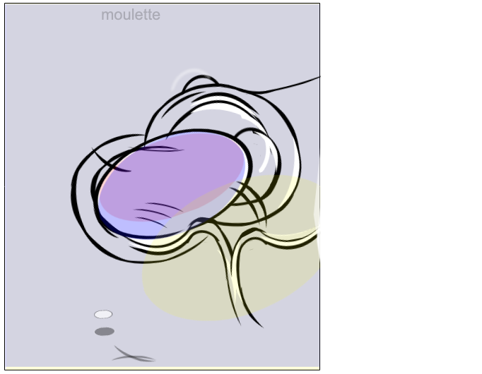 moulette