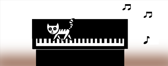 The cat wants to play the piano ...