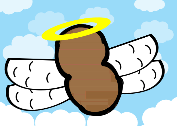 THE holy shit